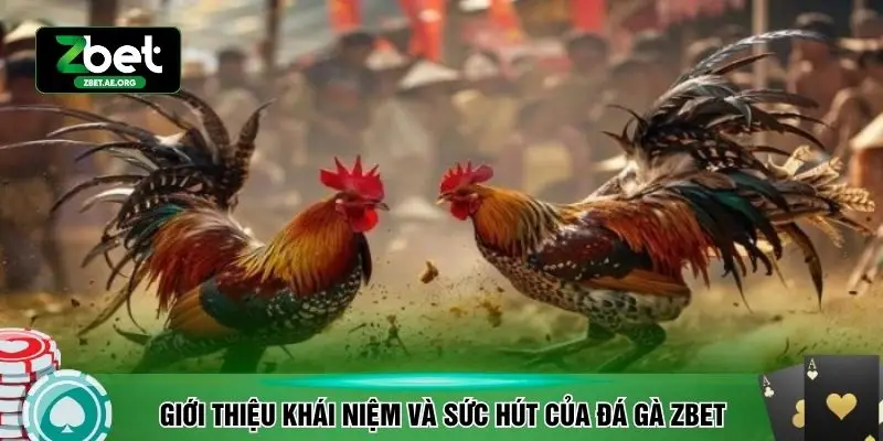 Giới thiệu khái niệm và sức hút của đá gà ZBET