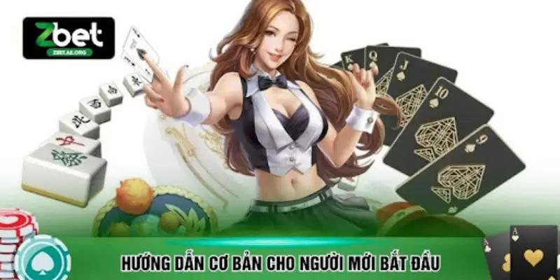 Hướng dẫn cơ bản cho người mới bắt đầu