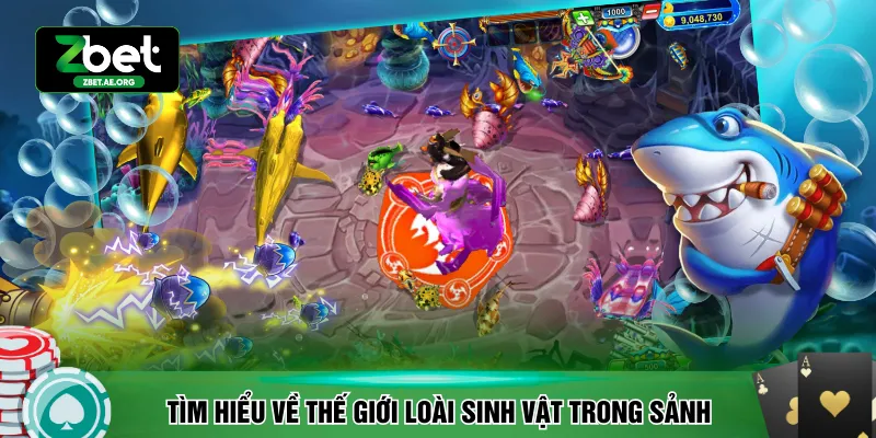 Tìm hiểu về thế giới loài sinh vật trong sảnh