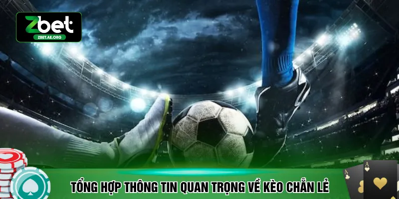 Tổng hợp thông tin quan trọng về kèo chẵn lẻ